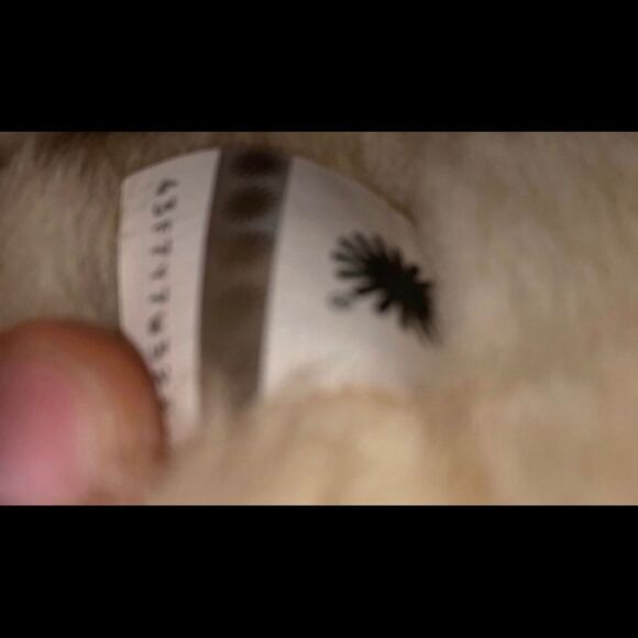 UGG CLASSIC SHORT - Picture 4 of 5